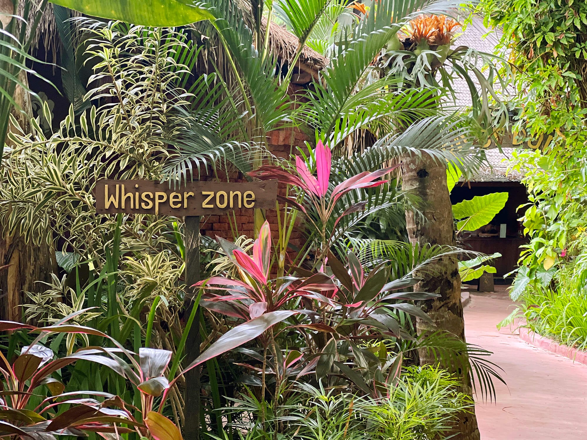 Ubud & Yoga Barn, Bali Blog