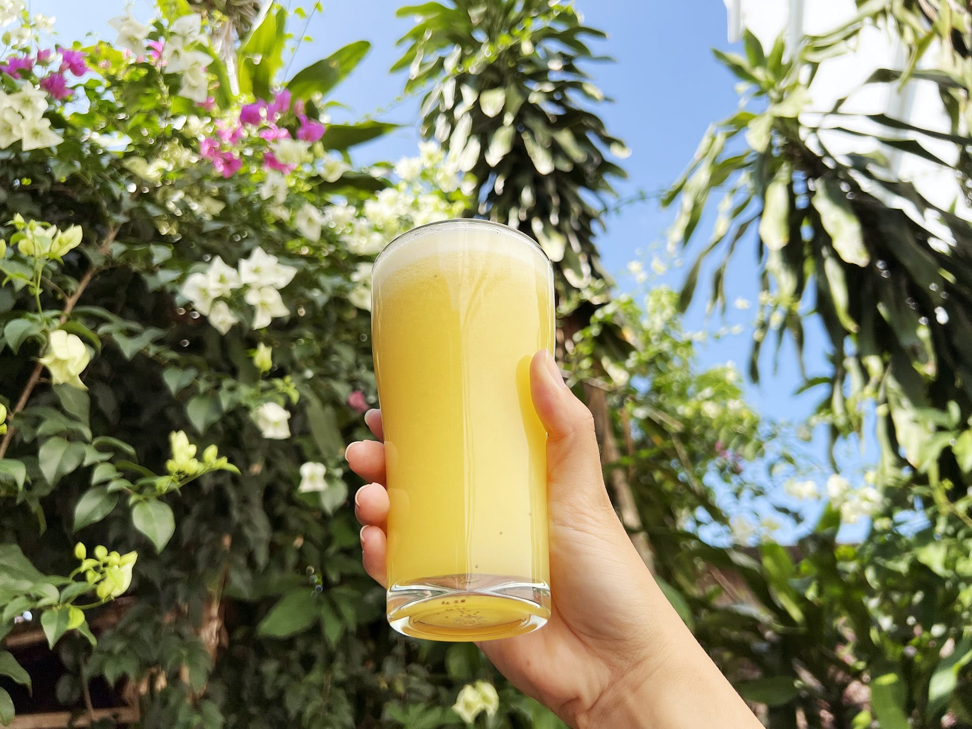 Banana juice with honey recipe, Tea Garden at Border Collective in Mae Sot