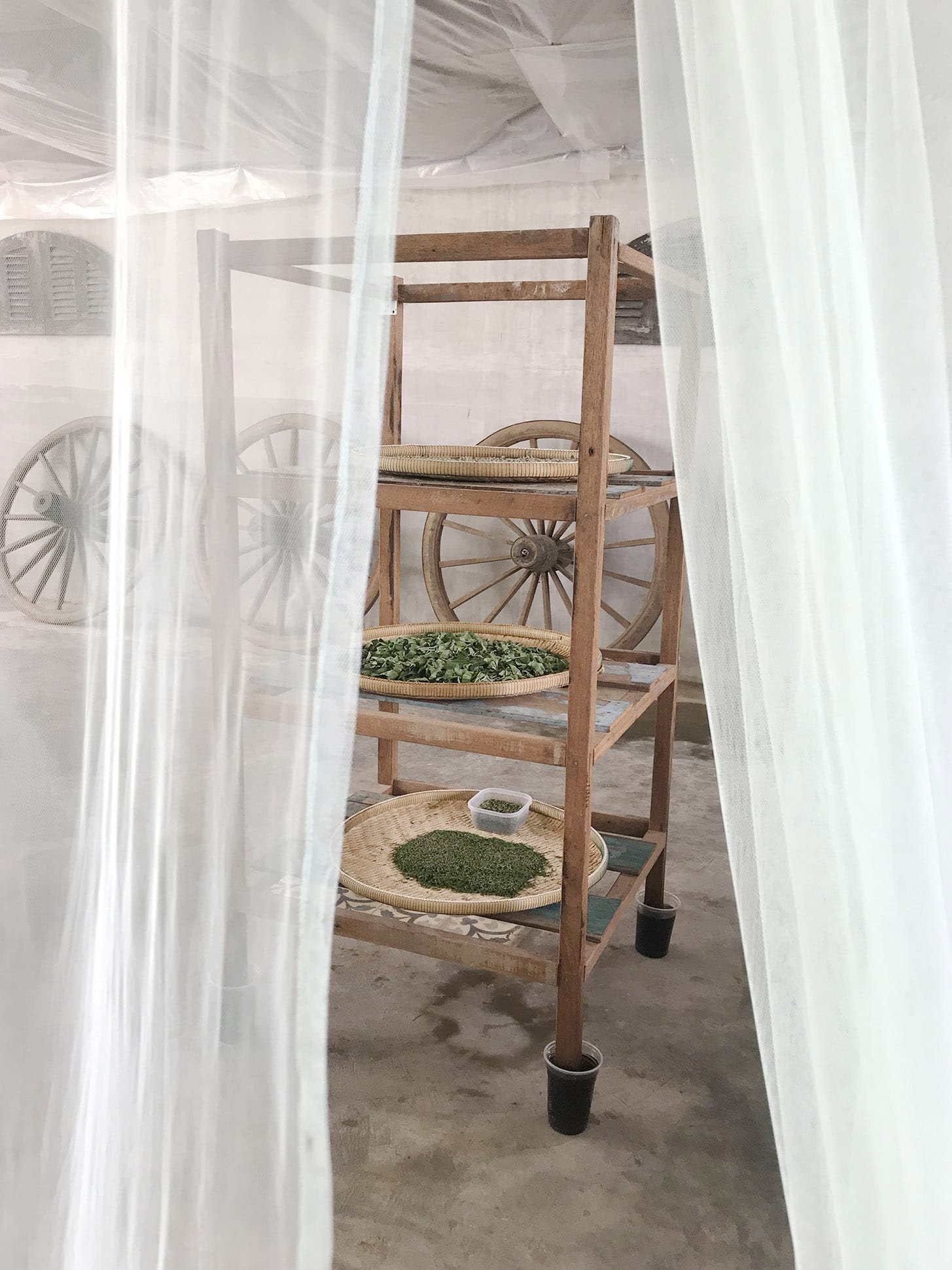 Lotus Silk, Phnom Penh