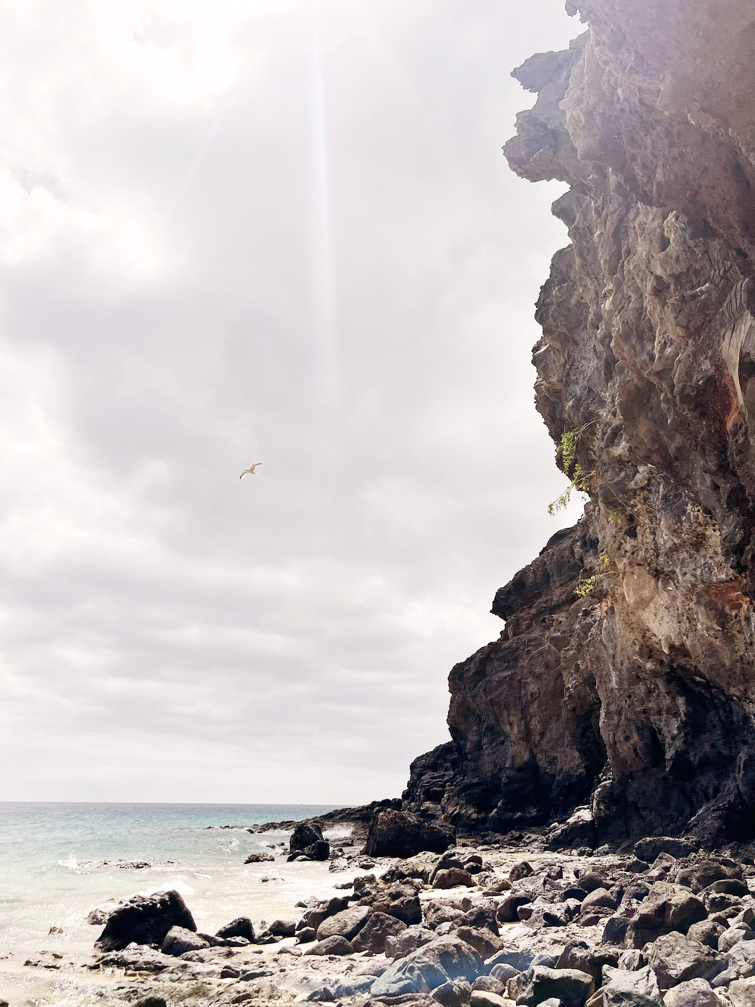 Fuerteventura: Morro Jable - A place in the sun