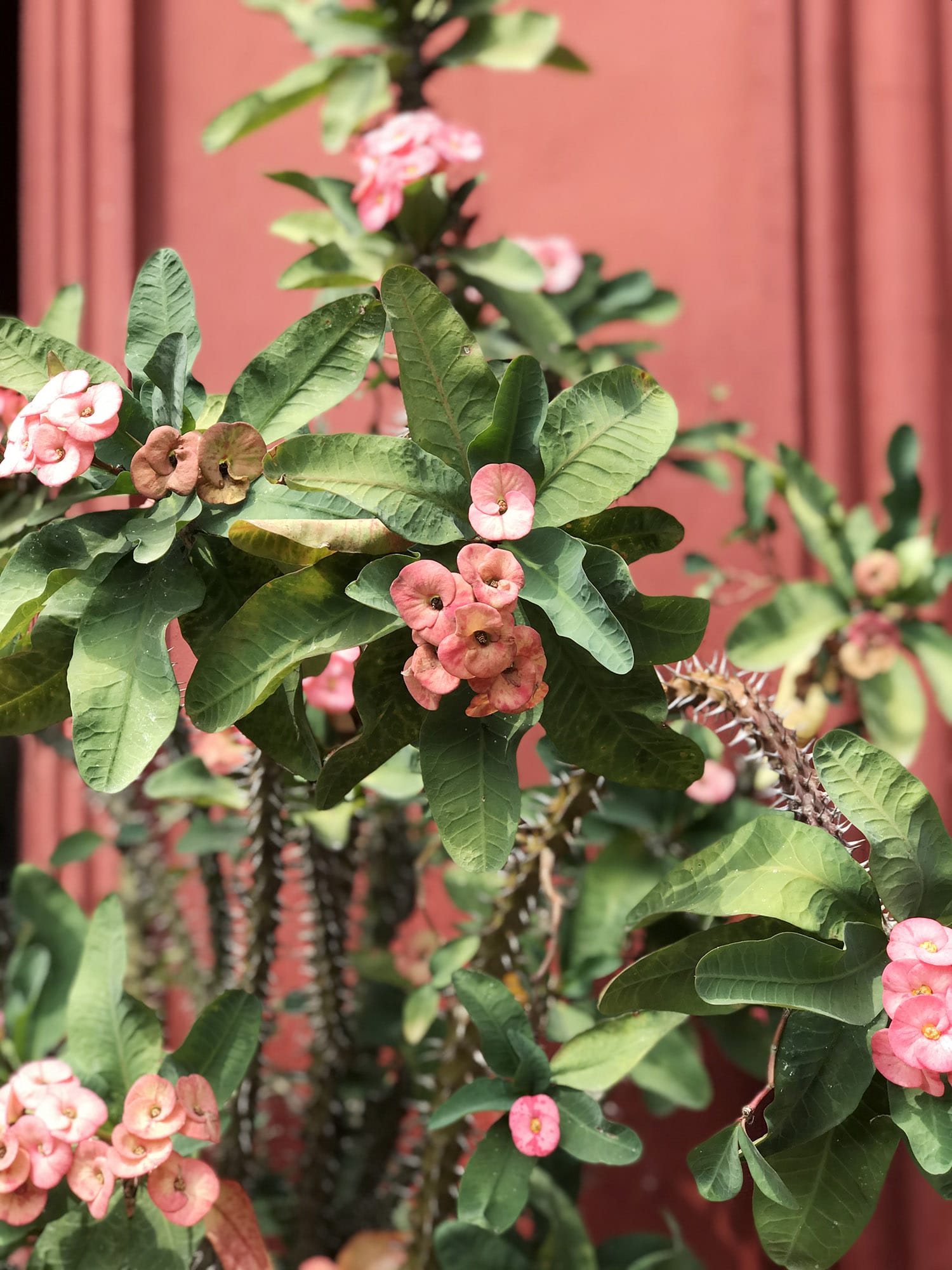 Phnom Penh: Visiting the National Museum of Cambodia