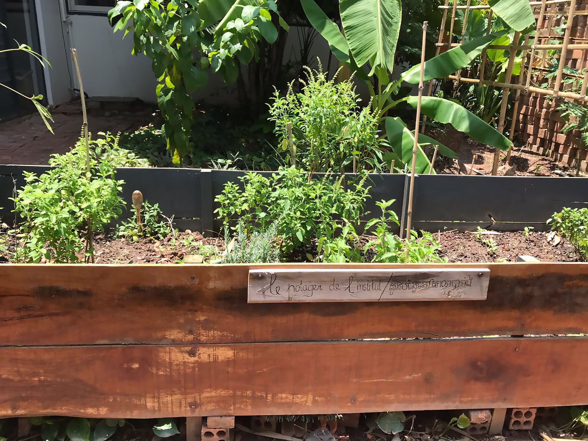 Phnom Penh: Le Bistrot at Institut Français