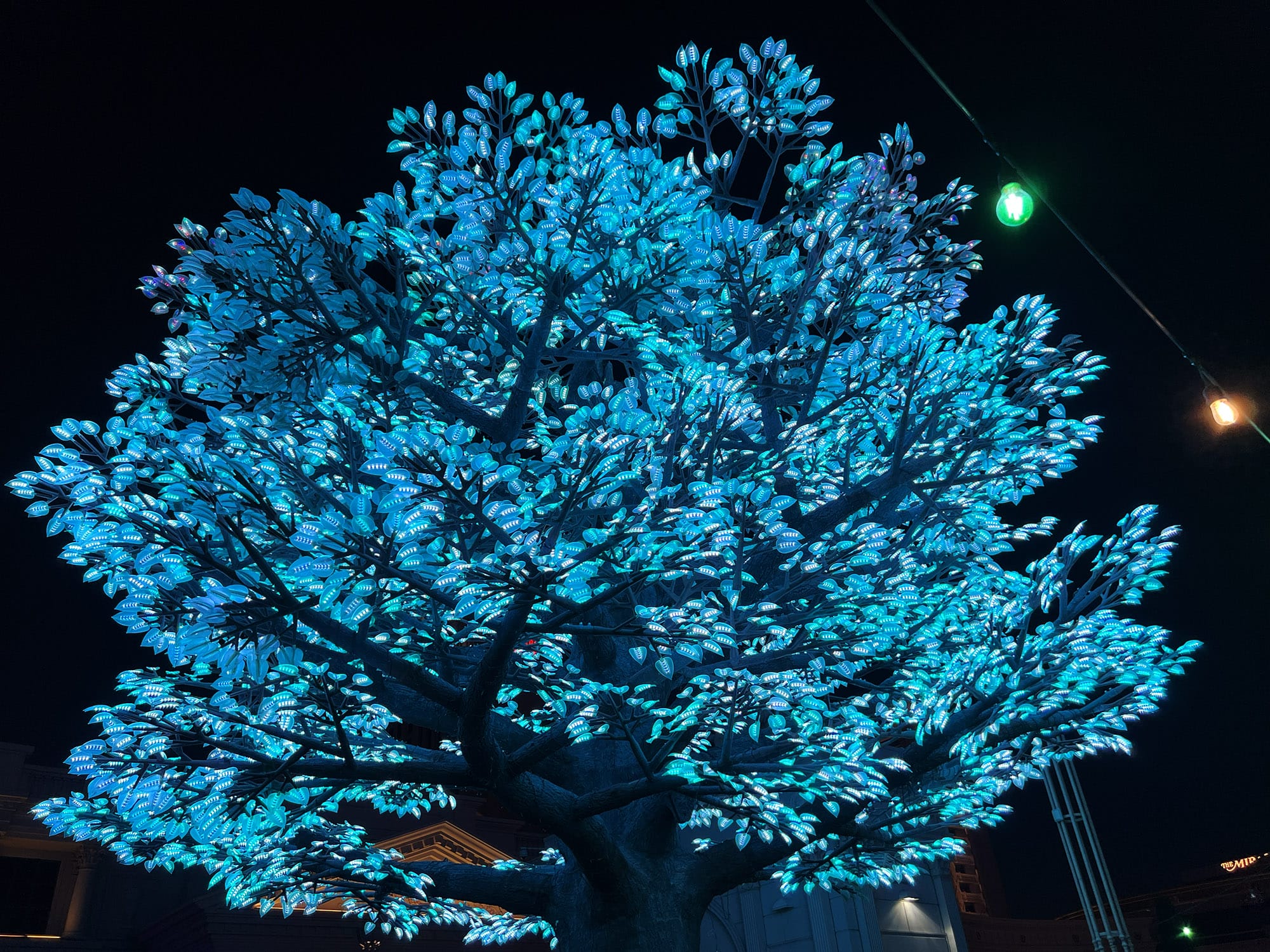 Absinthe - My first Vegas Show - Las Vegas Blog