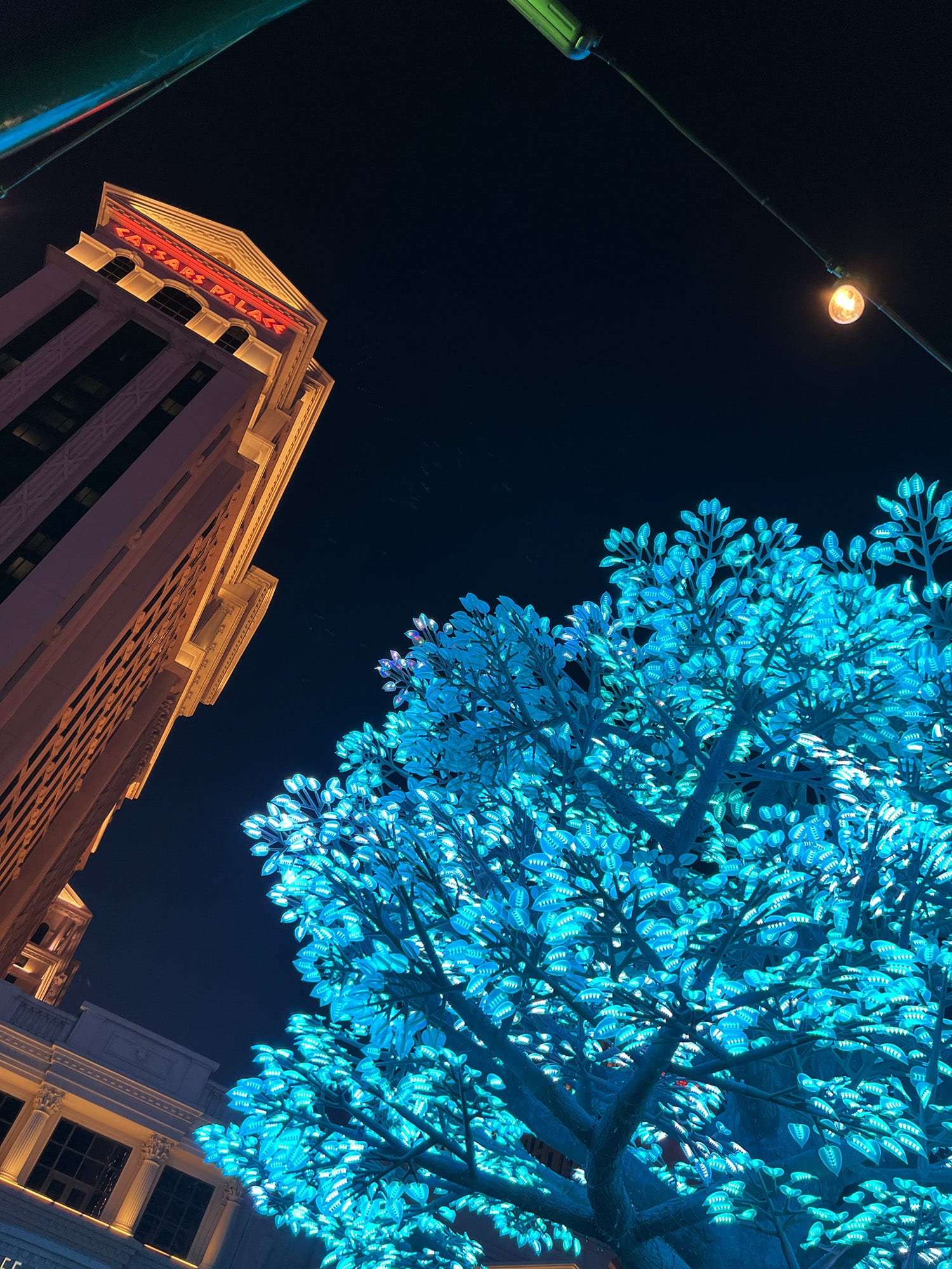 Absinthe - My first Vegas Show - Las Vegas Blog
