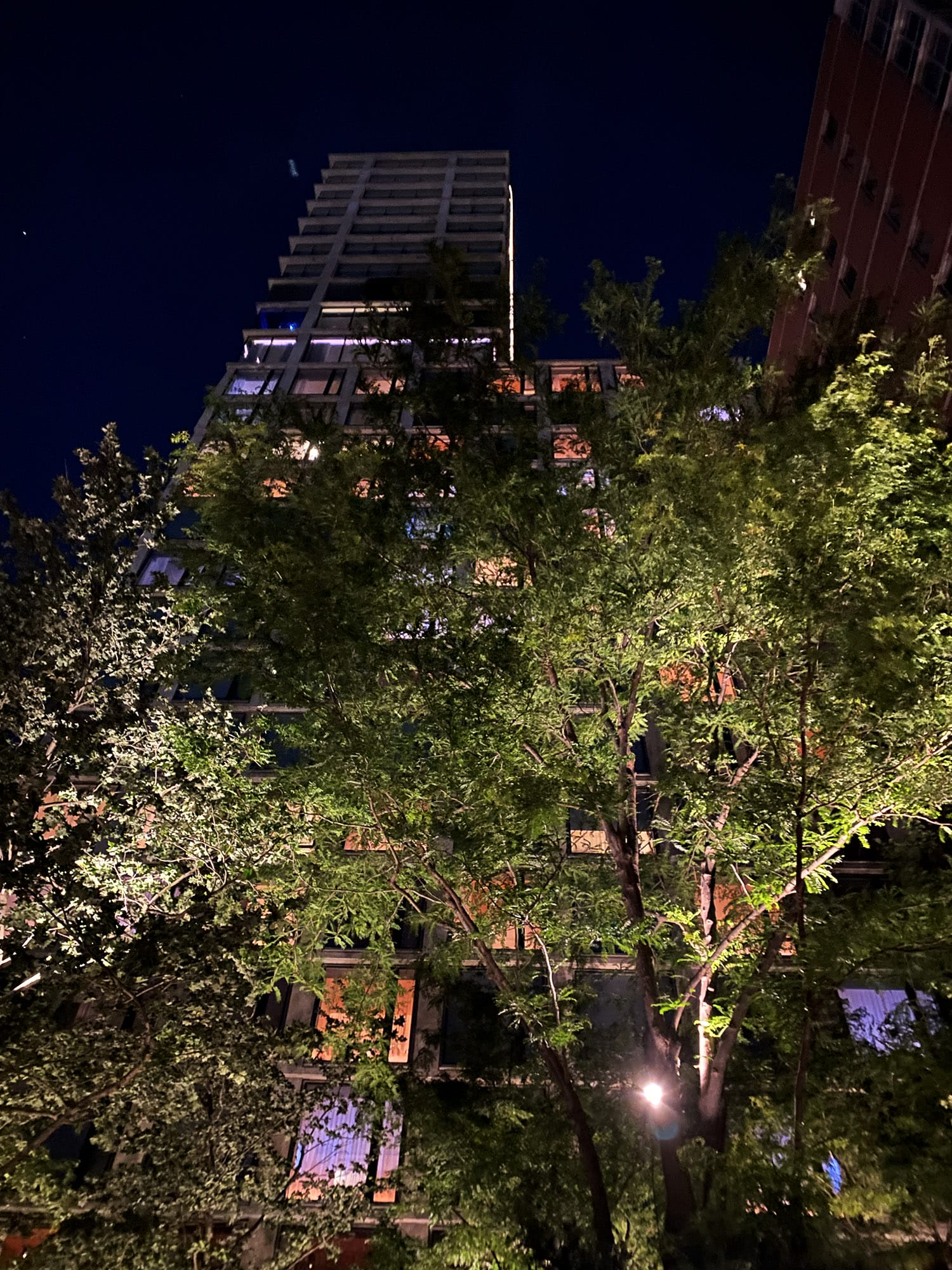 NYC: A Night Out at Public - Popular and the Roof
