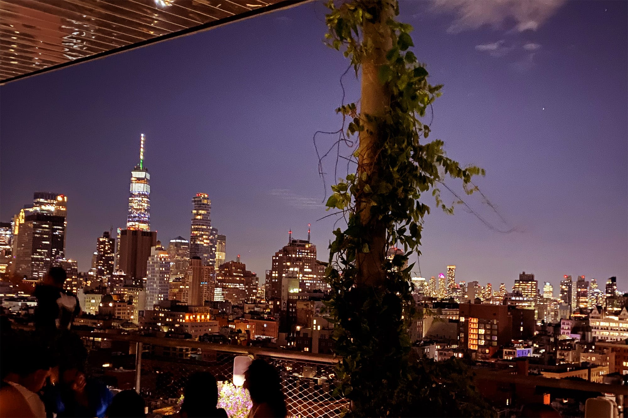 NYC: A Night Out at Public - Popular and the Roof