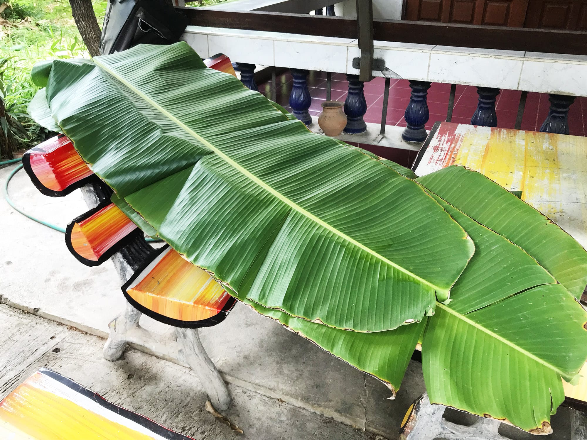 How to prepare banana leaves for cooking
