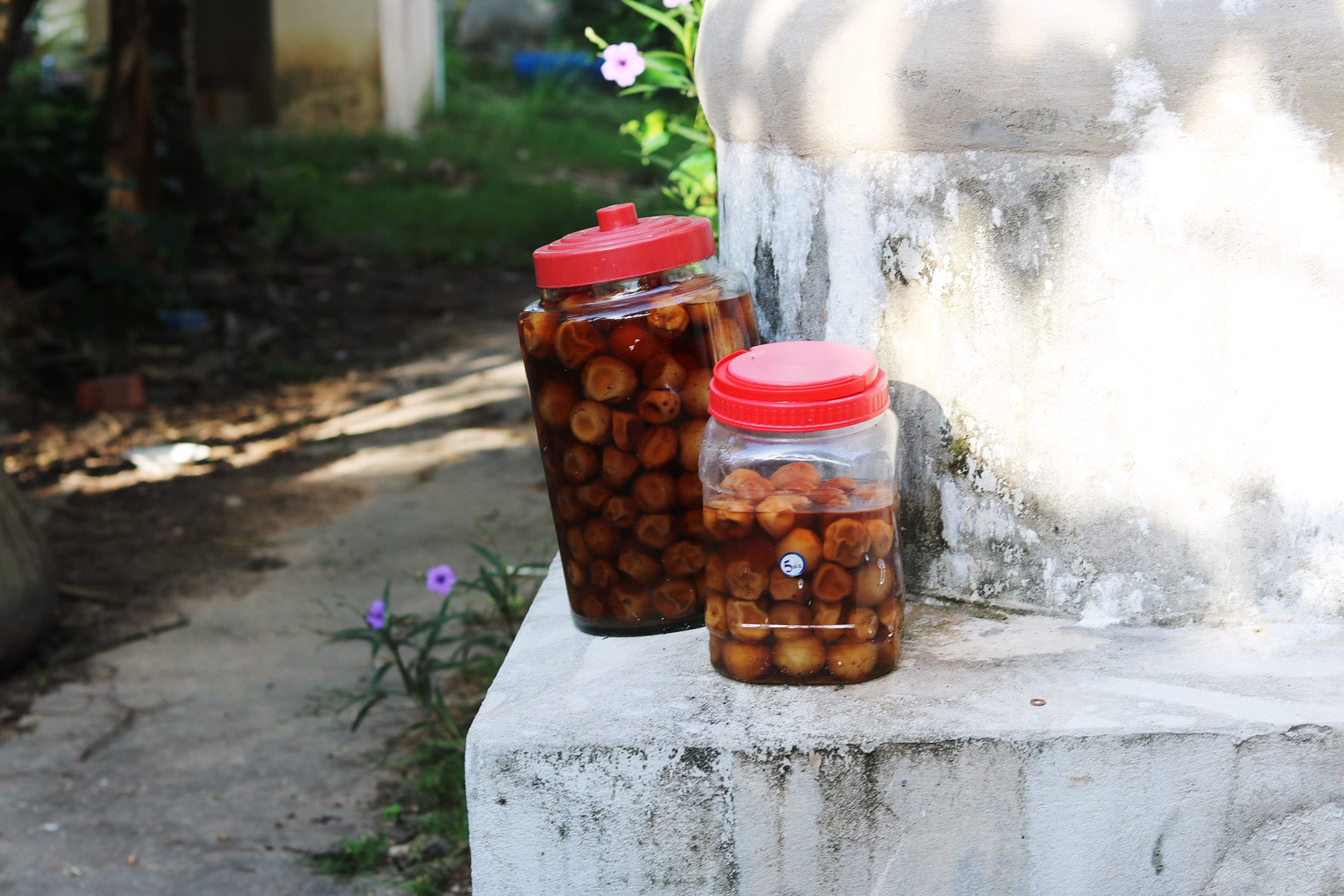 Cambodian Pickled Lime
