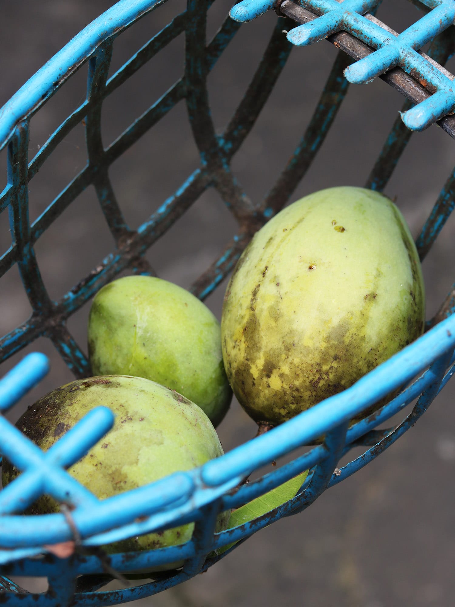 Recipe: Cambodian Mango Salad with Fried Fish