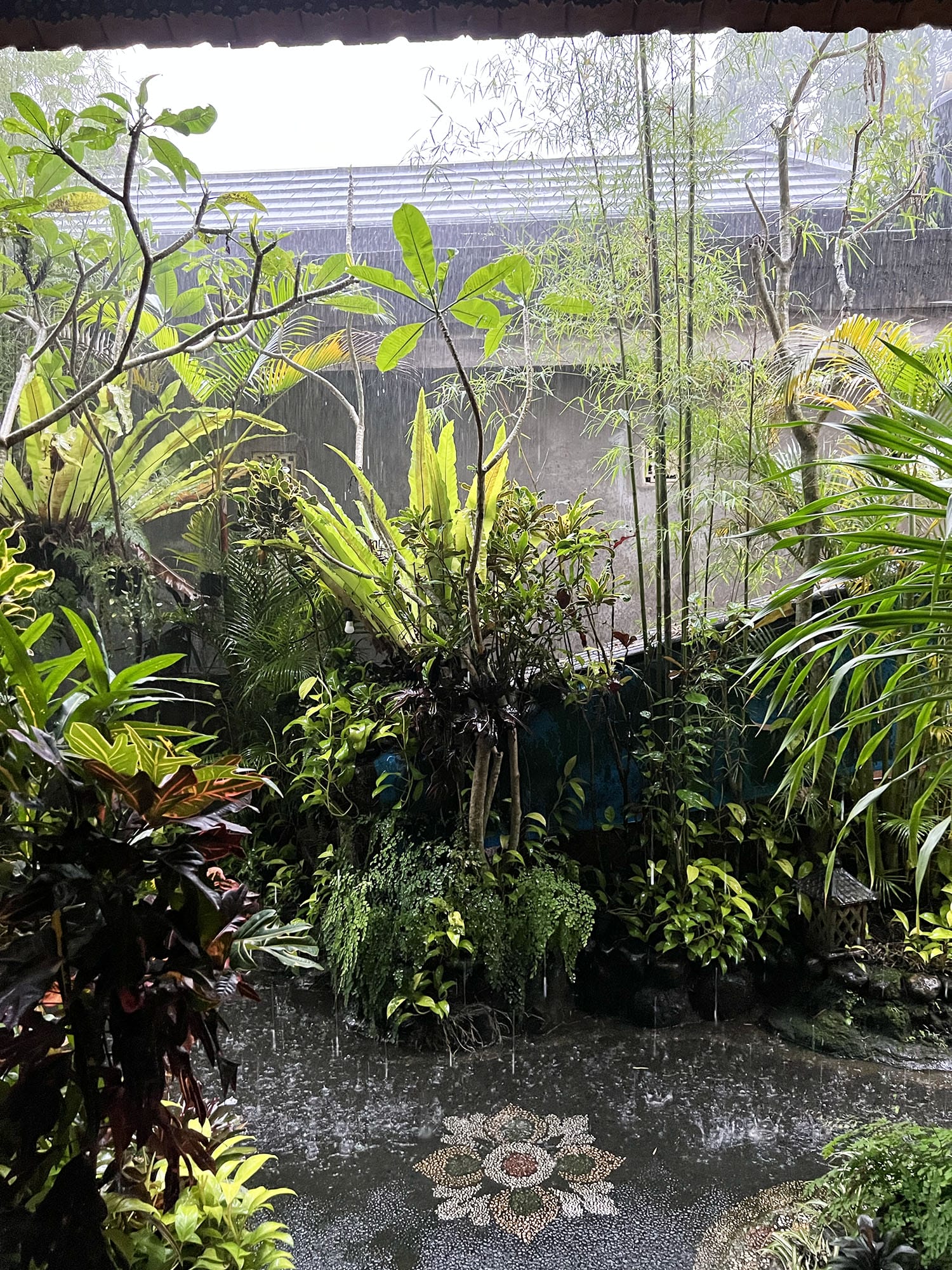 Bali: Praety Homestay - A Cozy Guesthouse in Ubud