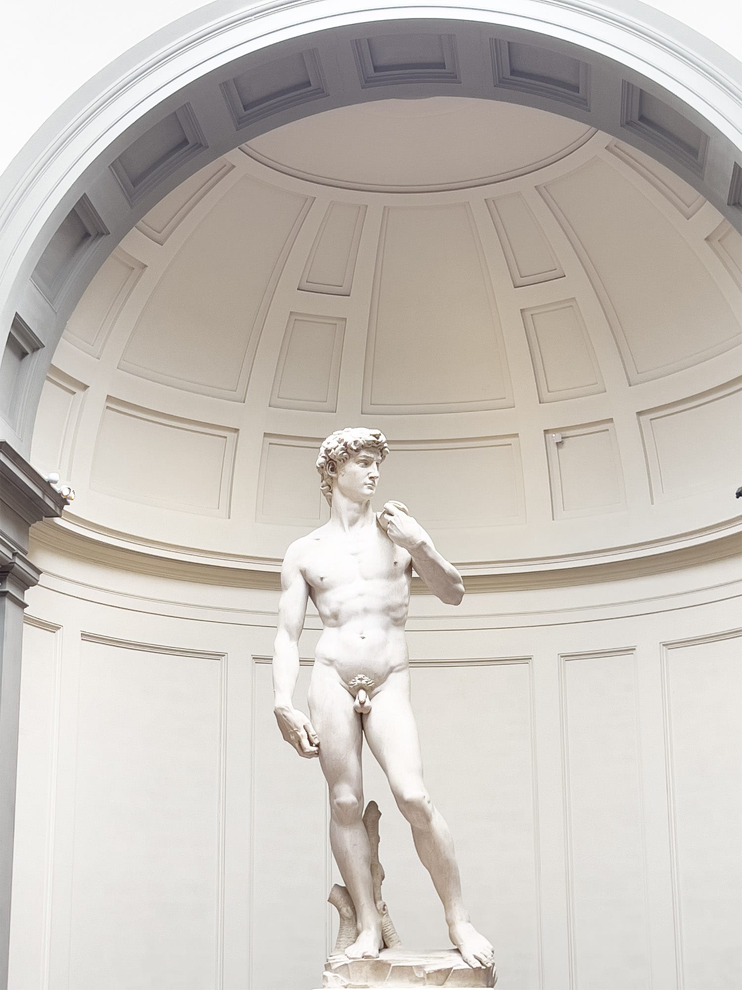 Florence Highlights - Things to do in Florence