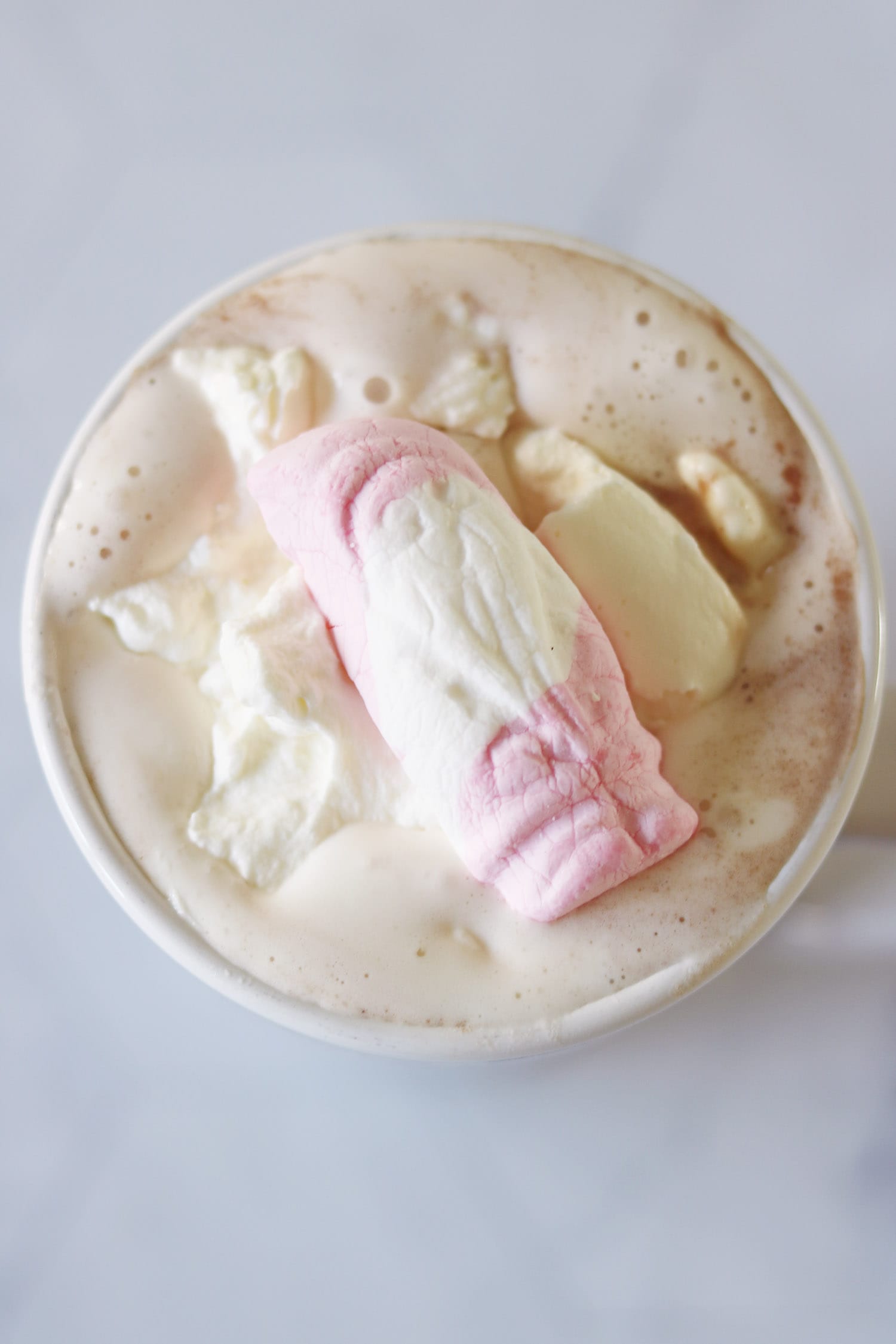 Recipe: Hot Cocoa with Coconut Sugar