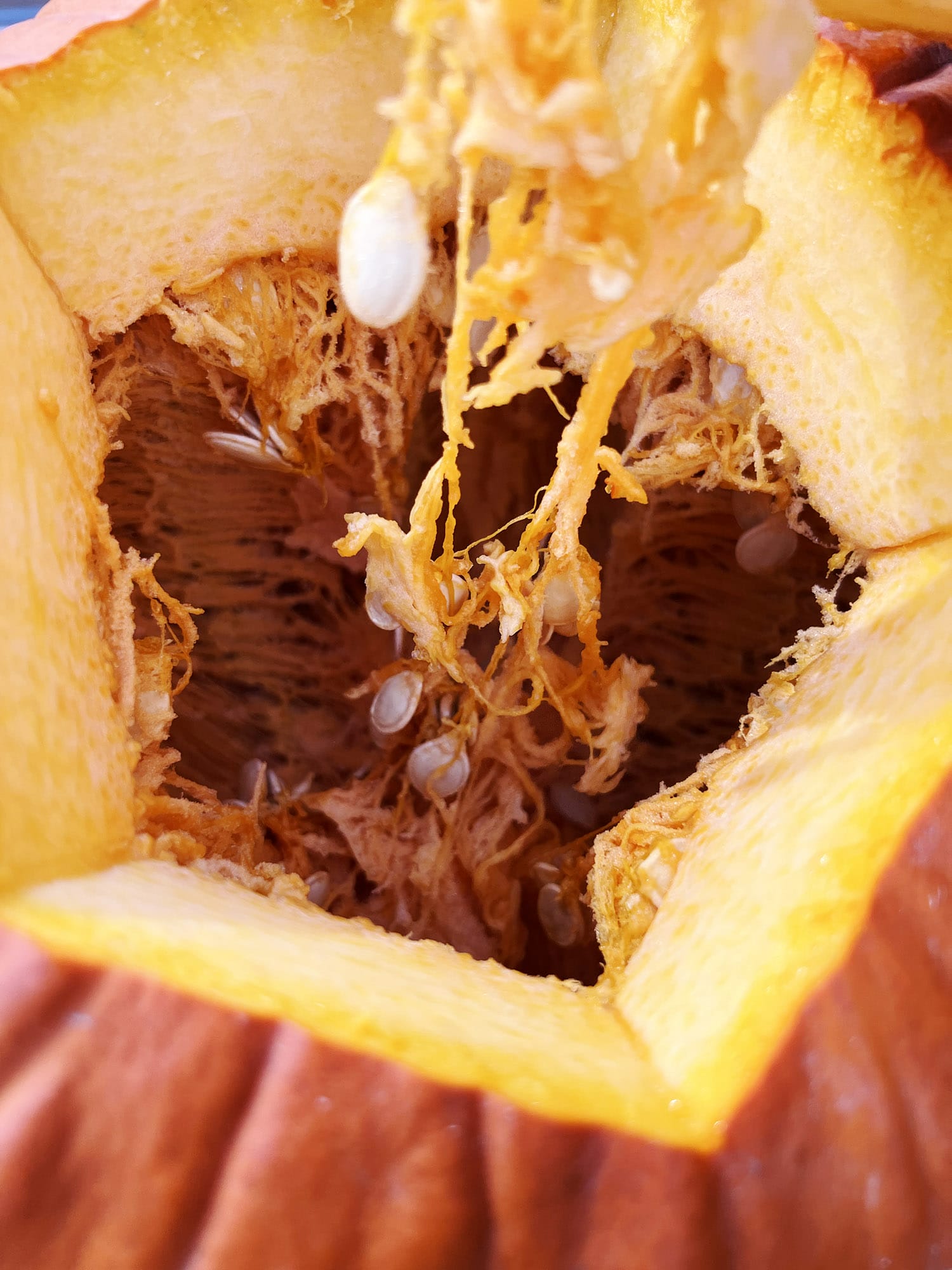 Recipe: Harissa Roasted Pumpkin Seeds