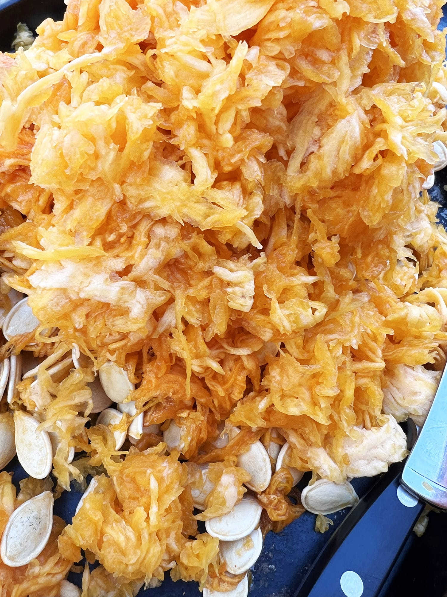 Recipe: Harissa Roasted Pumpkin Seeds