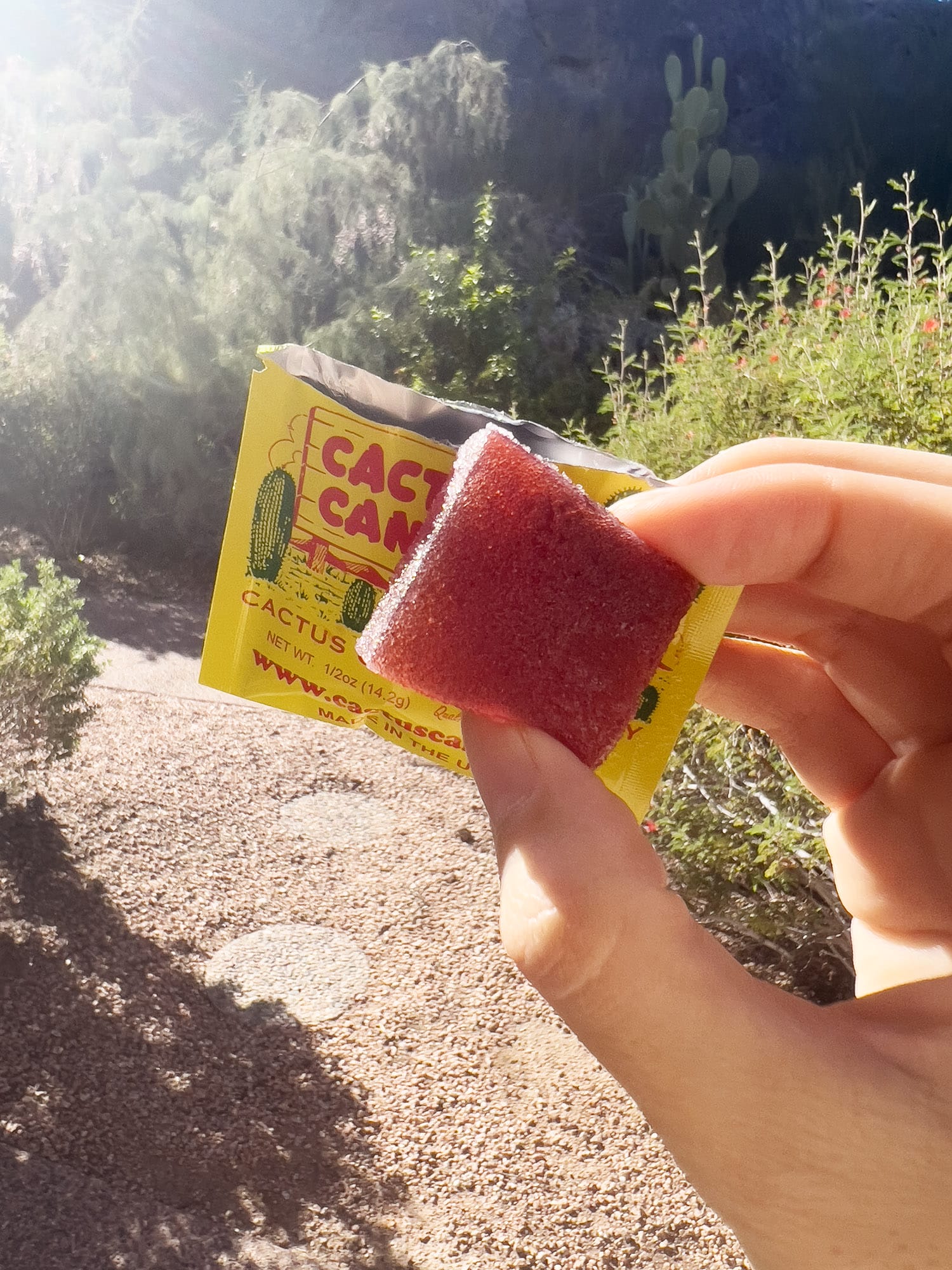 Review: Cactus Candy Single from Cactus Candy Company