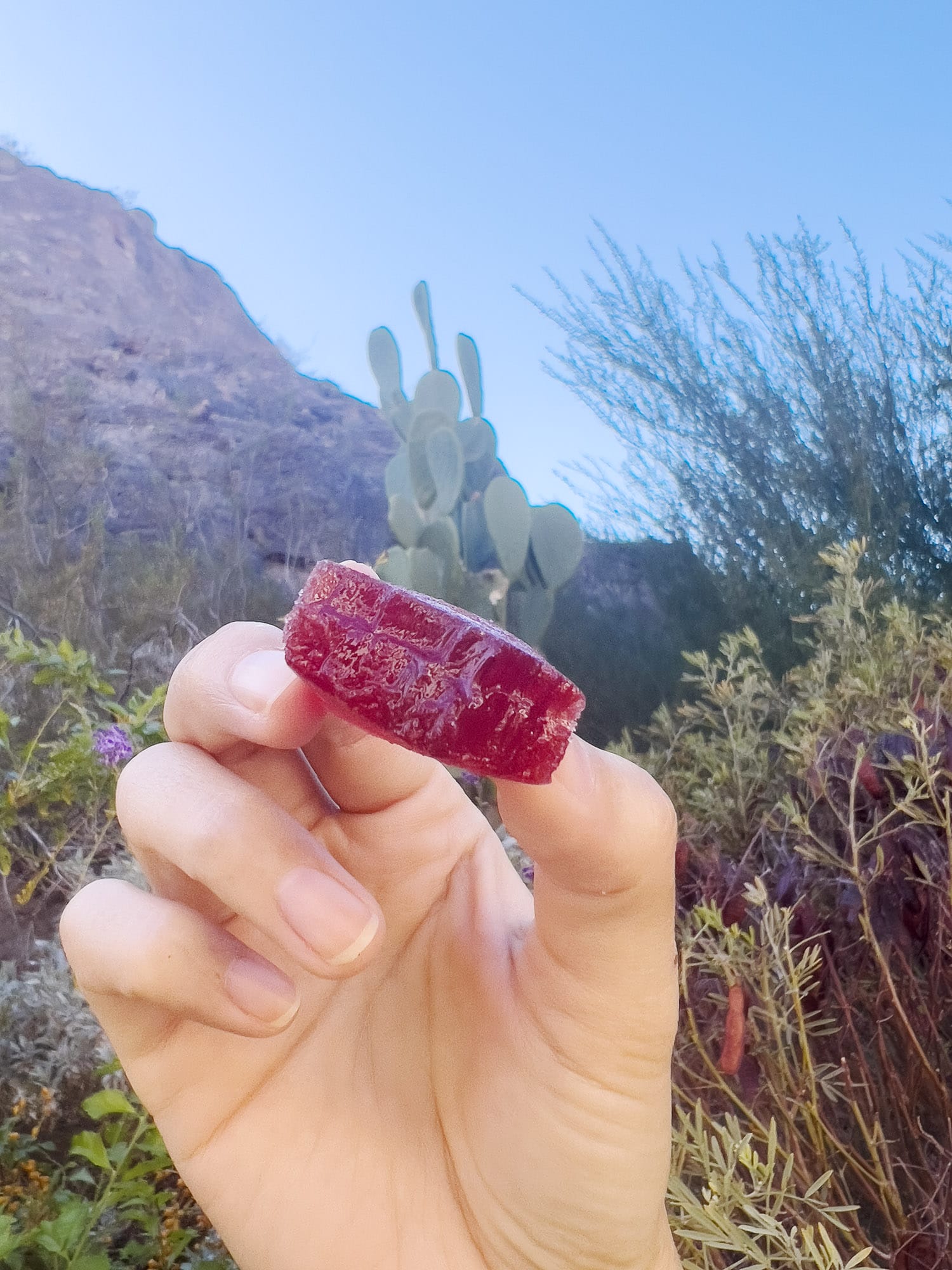 Review: Cactus Candy Single from Cactus Candy Company