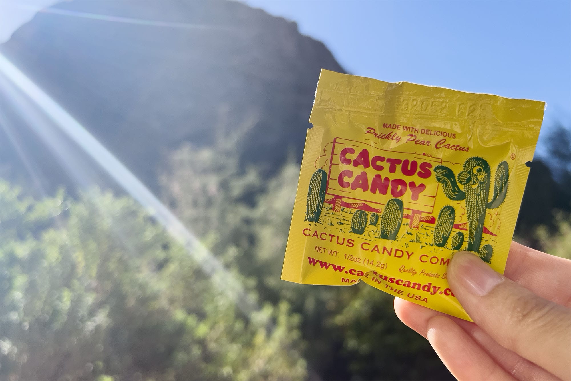 Review: Cactus Candy Single from Cactus Candy Company