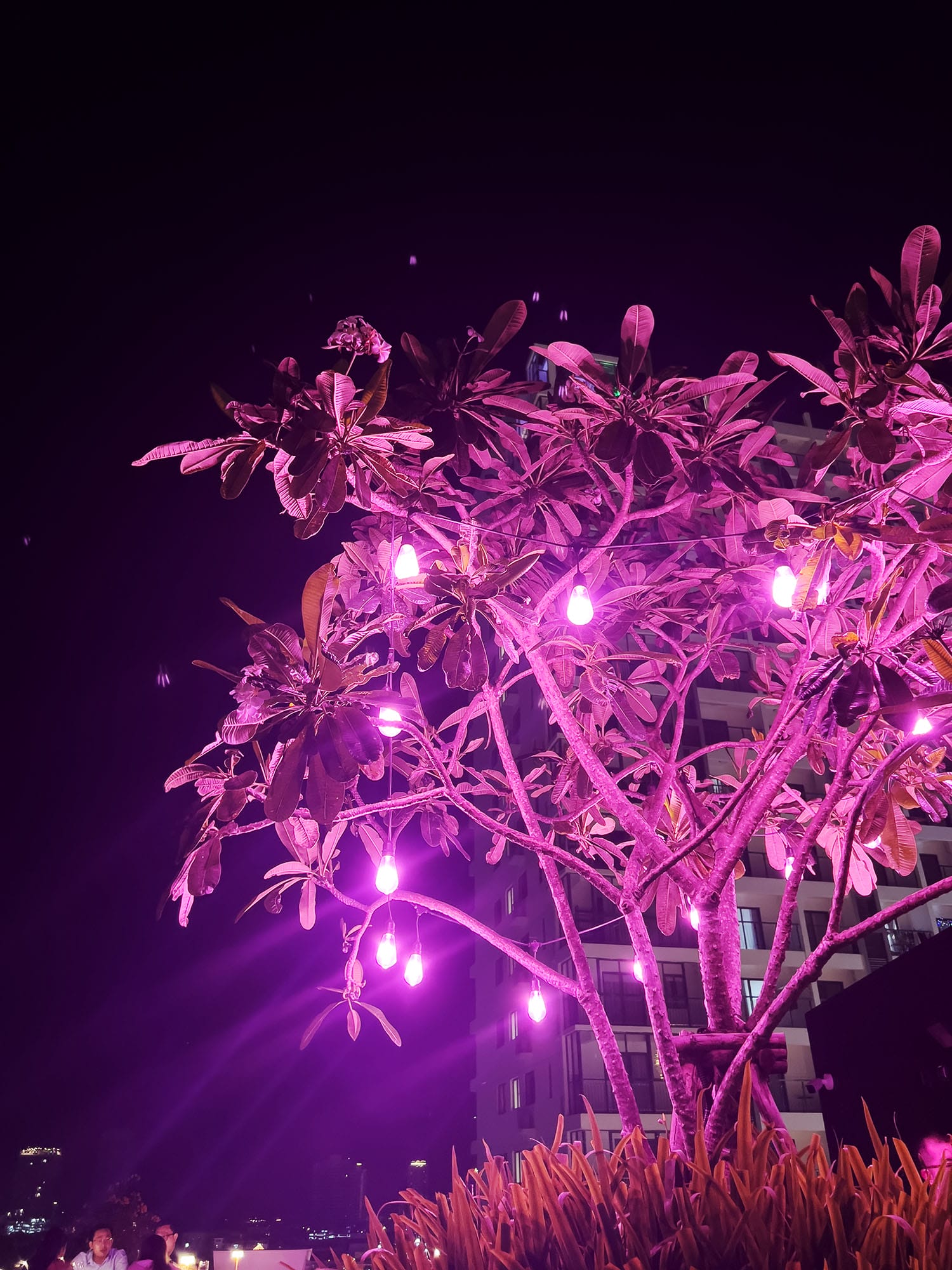 Phnom Penh: Hemisphere at Tribe Hotel