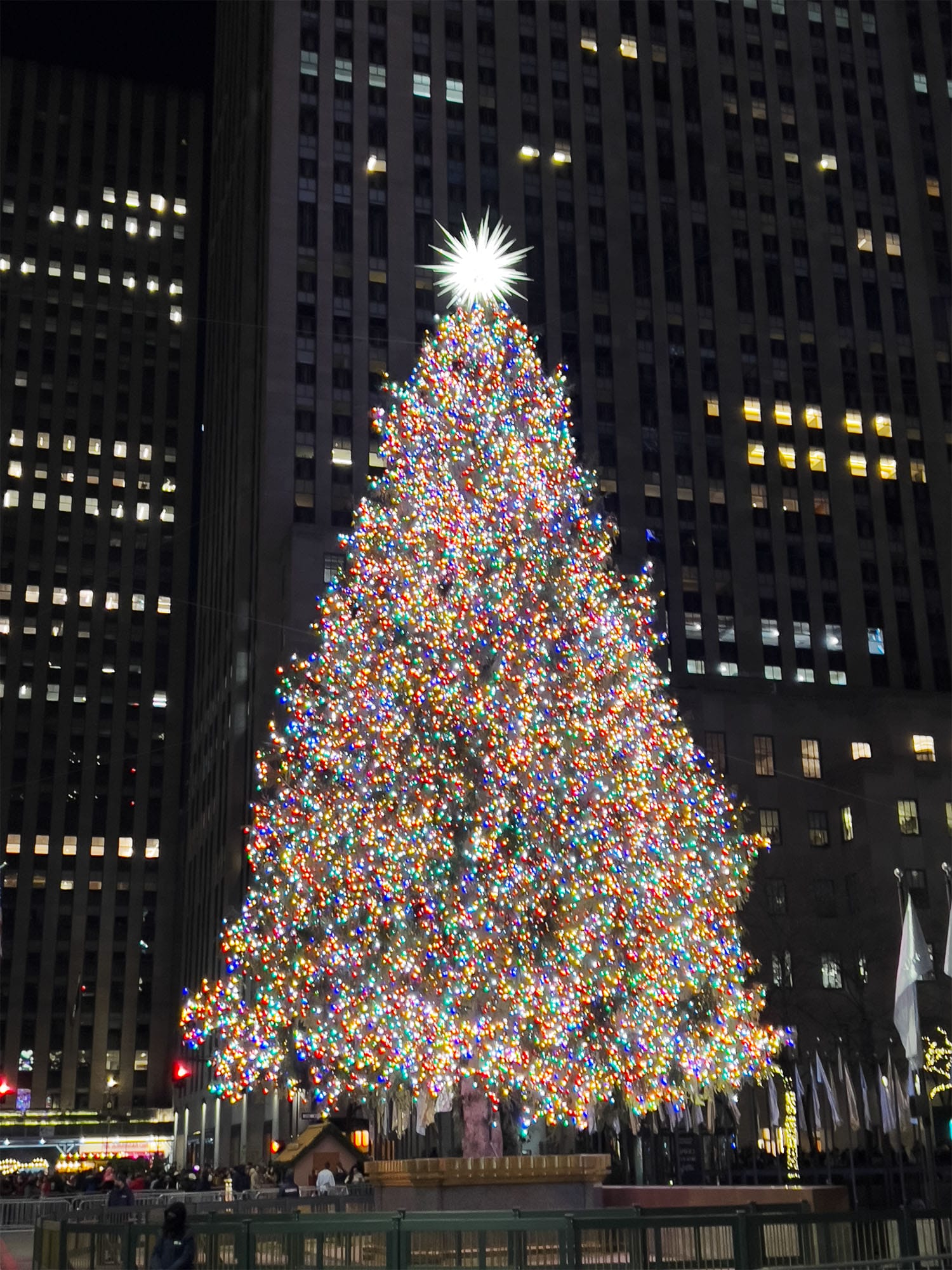 NYC: The Christmas Tree at Rockefeller Center