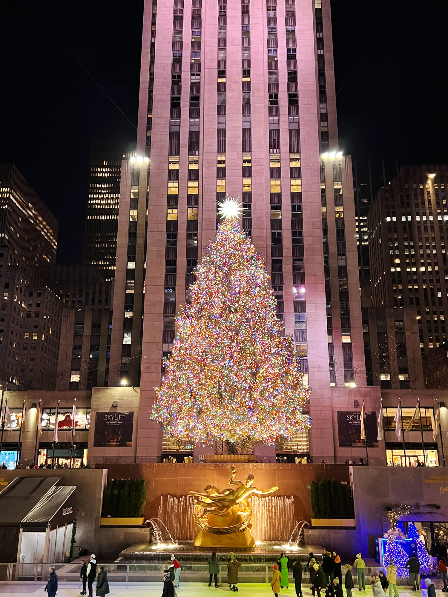 NYC: The Christmas Tree at Rockefeller Center