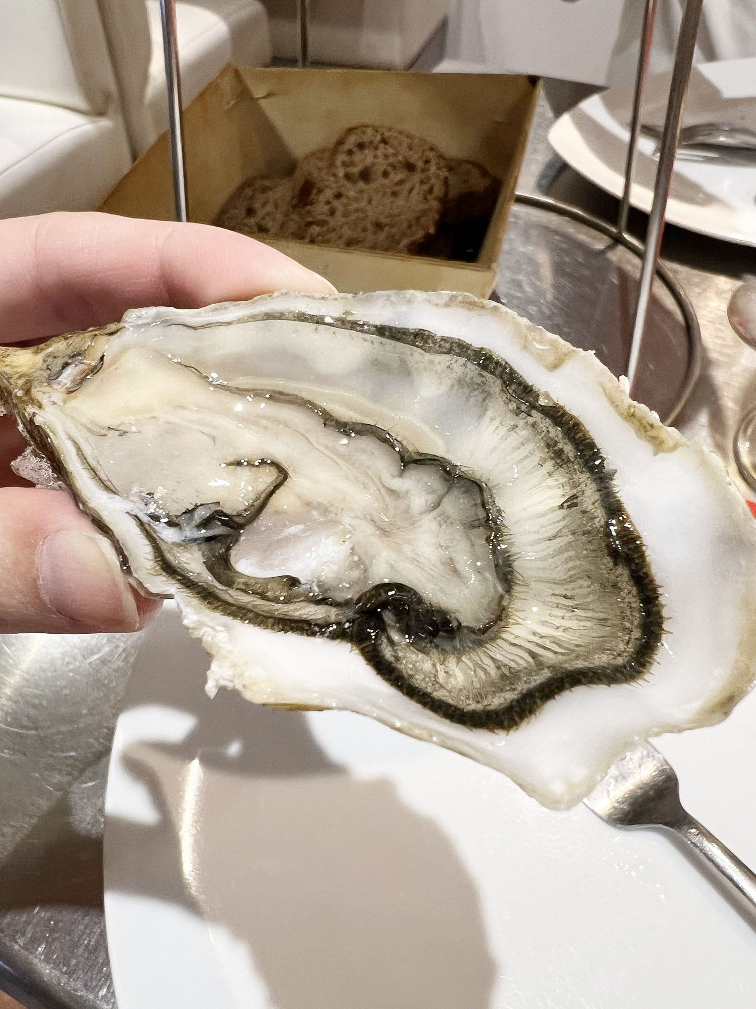 Paris: Opium La Cabane - Oysters and Pink Shrimp