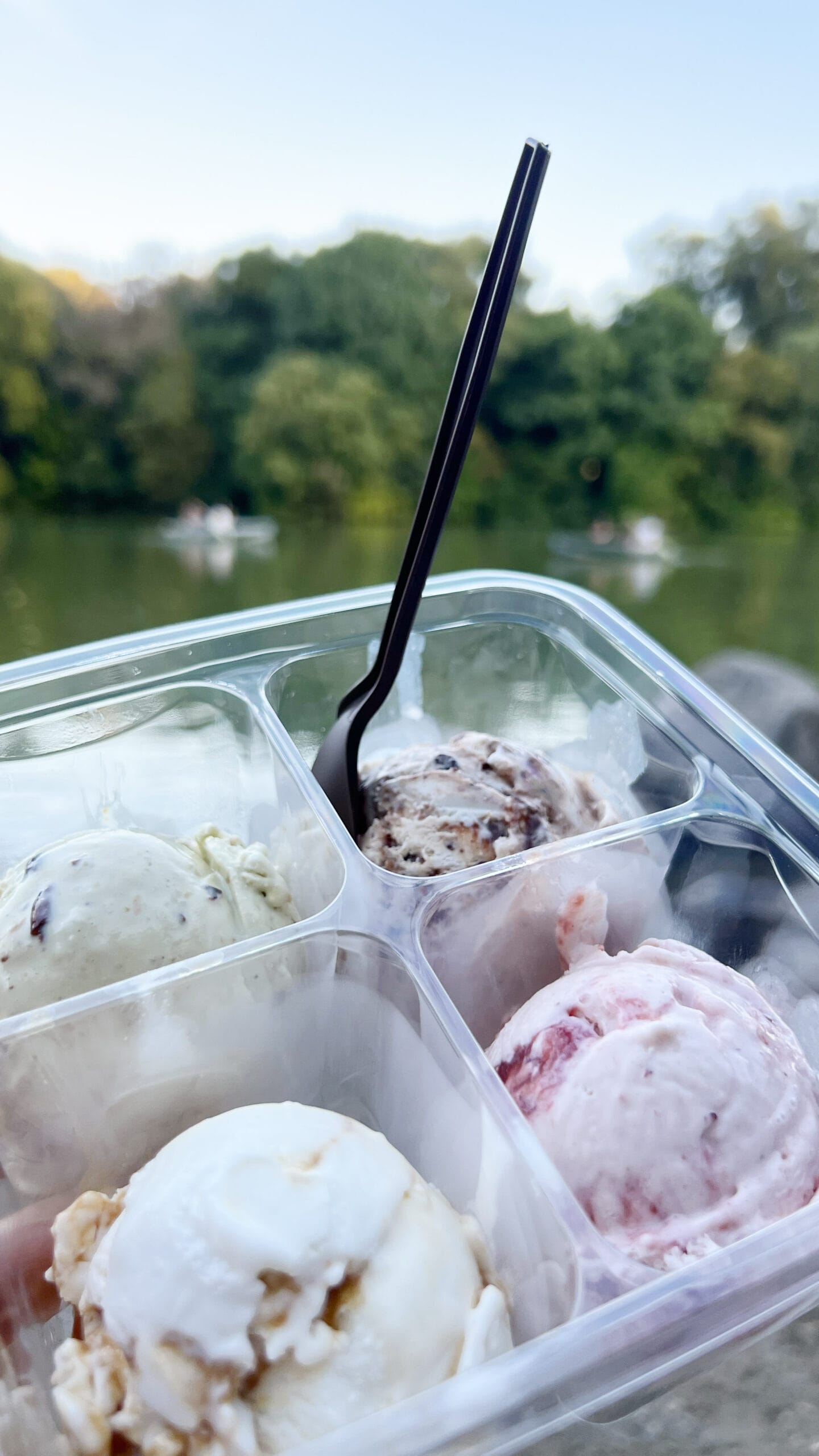 NYC: My Guide to Ice Cream, Gelato & Soft Serve