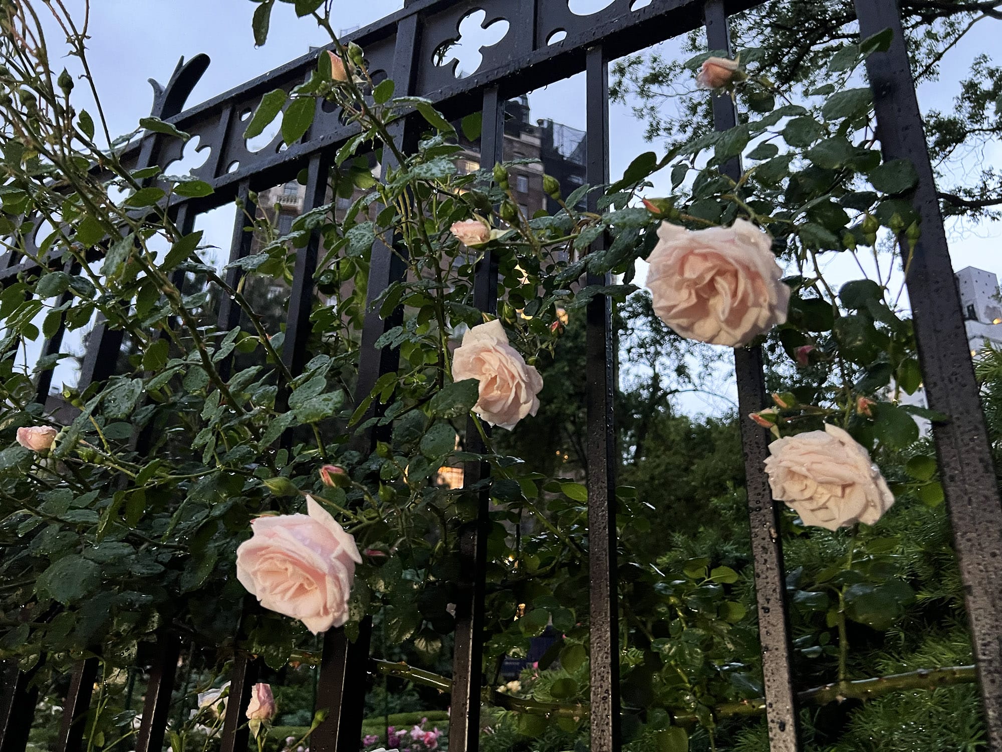 New York: Ghost Stories in Greenwich Village