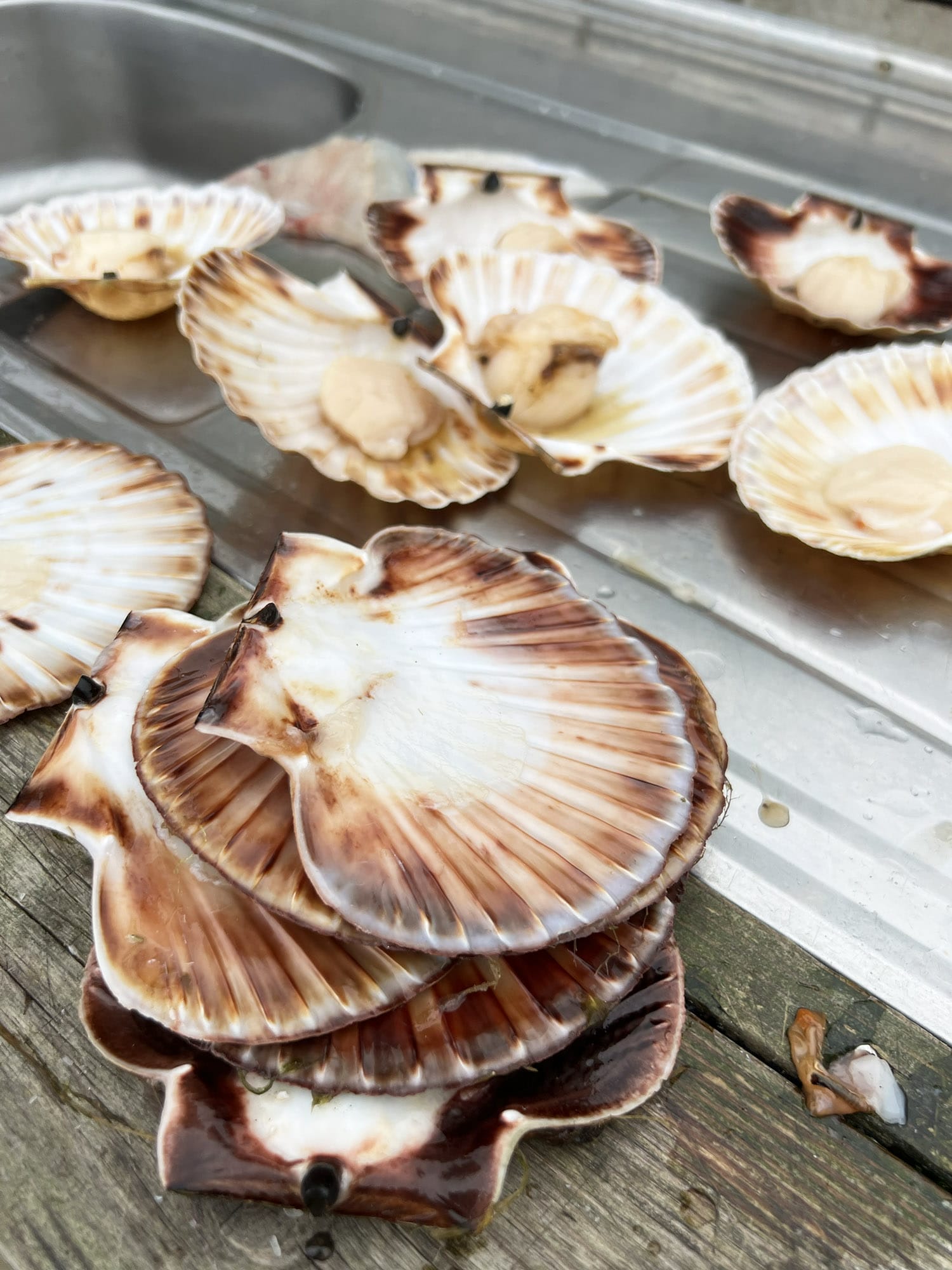 Farsund Blog