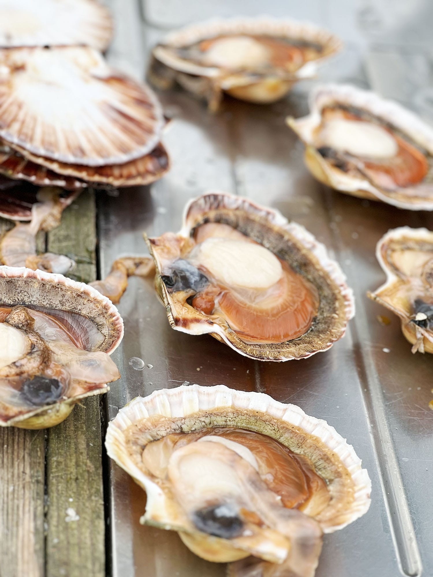 Recipe: Kristian’s Delicious Seafood Pasta