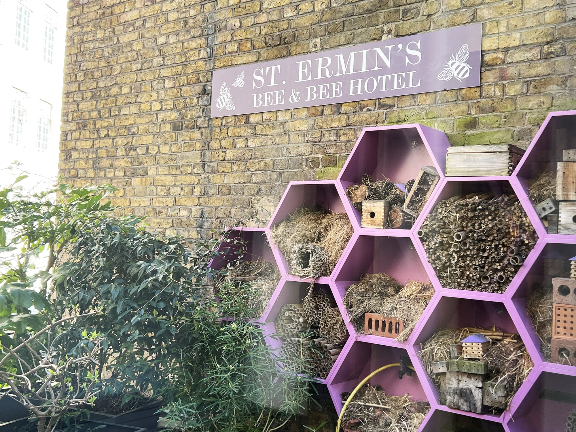 London: A Wonderful Stay at St. Ermin’s Hotel