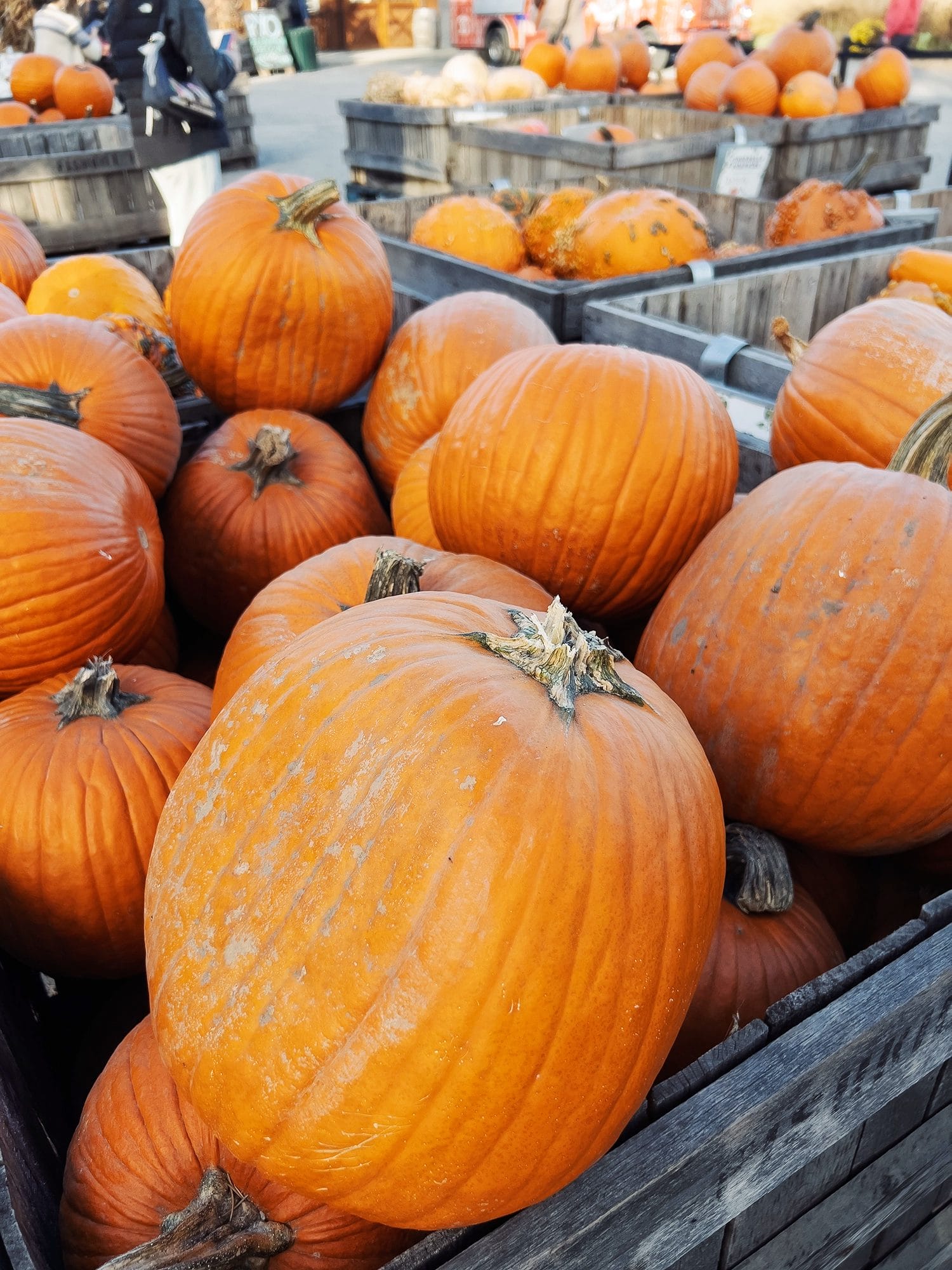 A Simple Guide to the Perfect Halloween Pumpkin