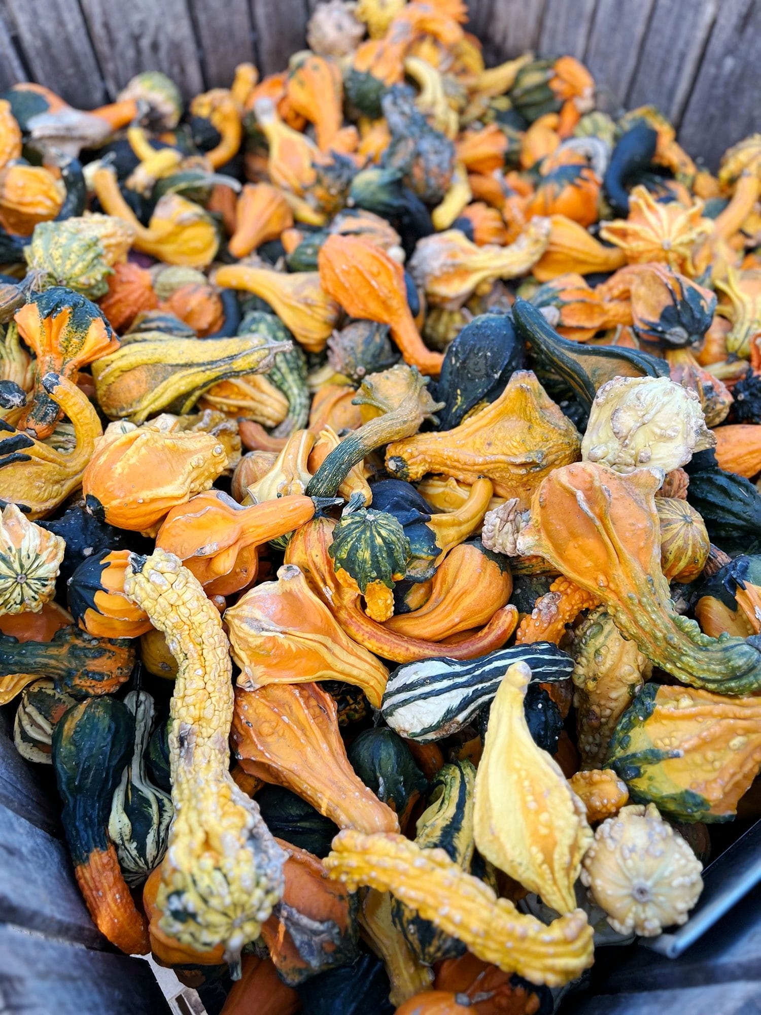 Fishkill Farms New York