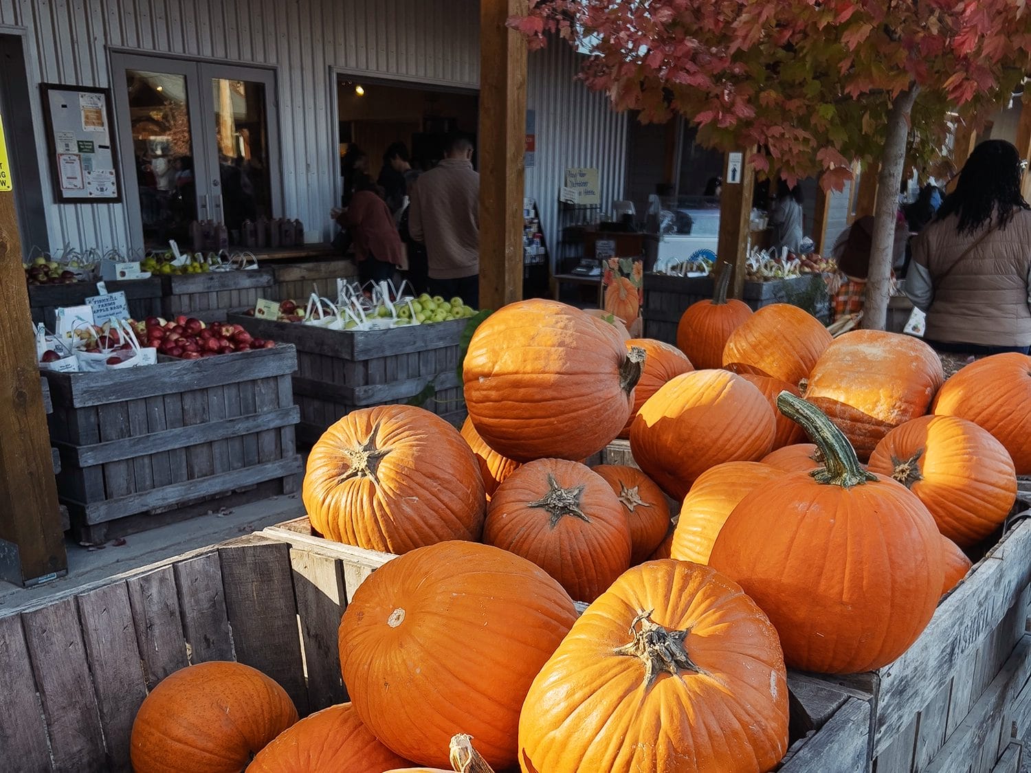 Fishkill Farms New York