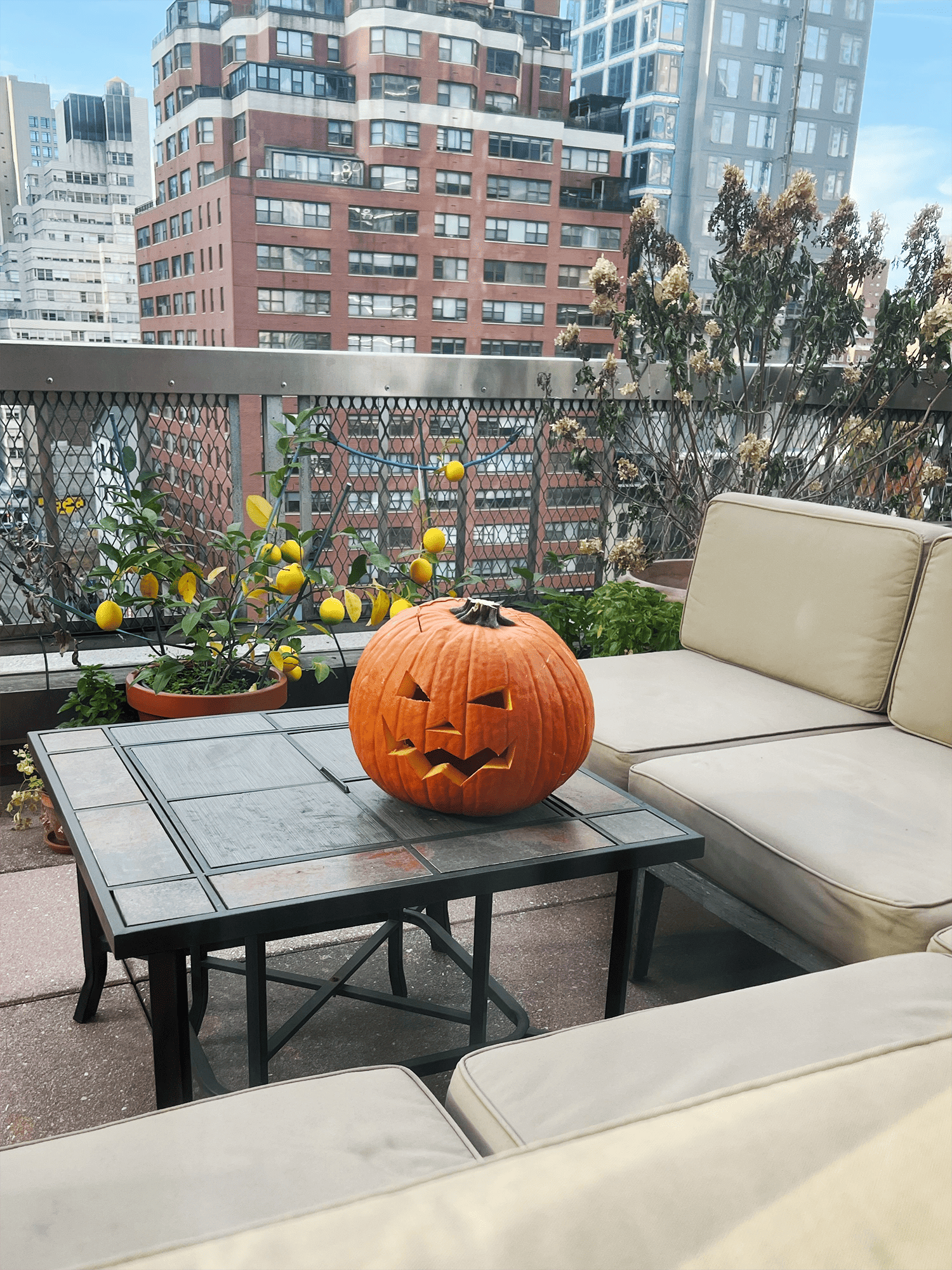 Pumpkin Carving Made Easy - A Simple Guide to the Perfect Halloween Pumpkin