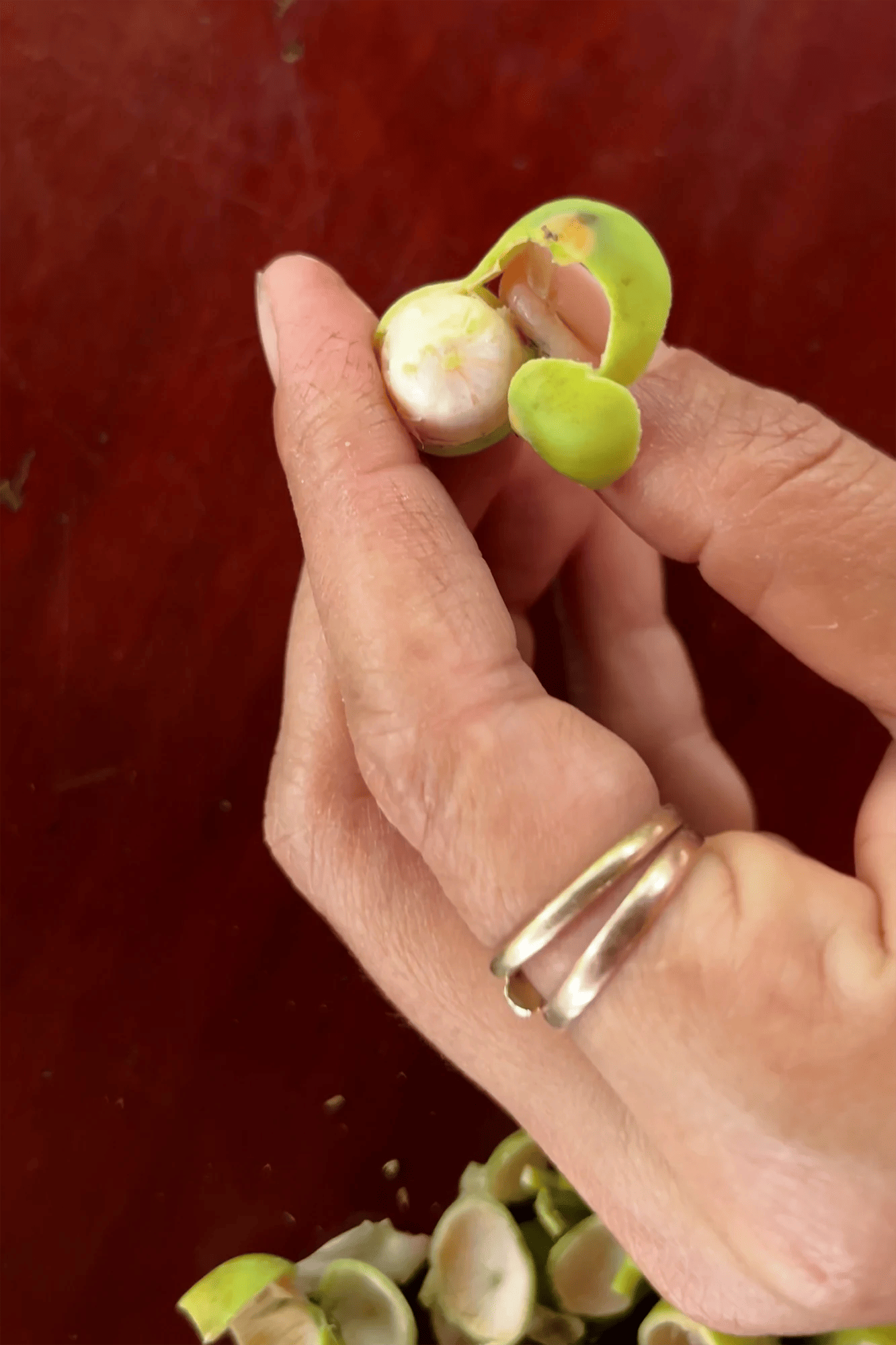 Cambodia: Fresh lotus seeds - A tasty snack from the market