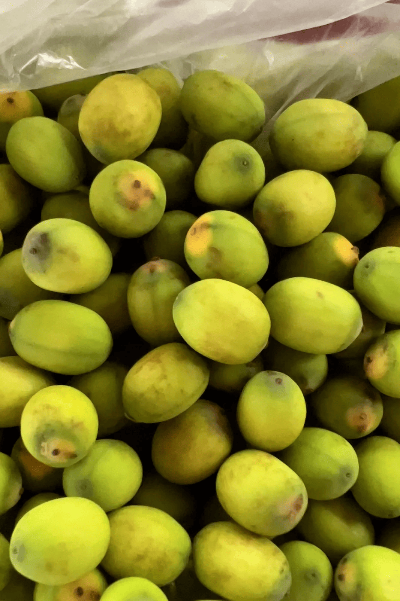 Cambodia: Fresh lotus seeds - A tasty snack from the market