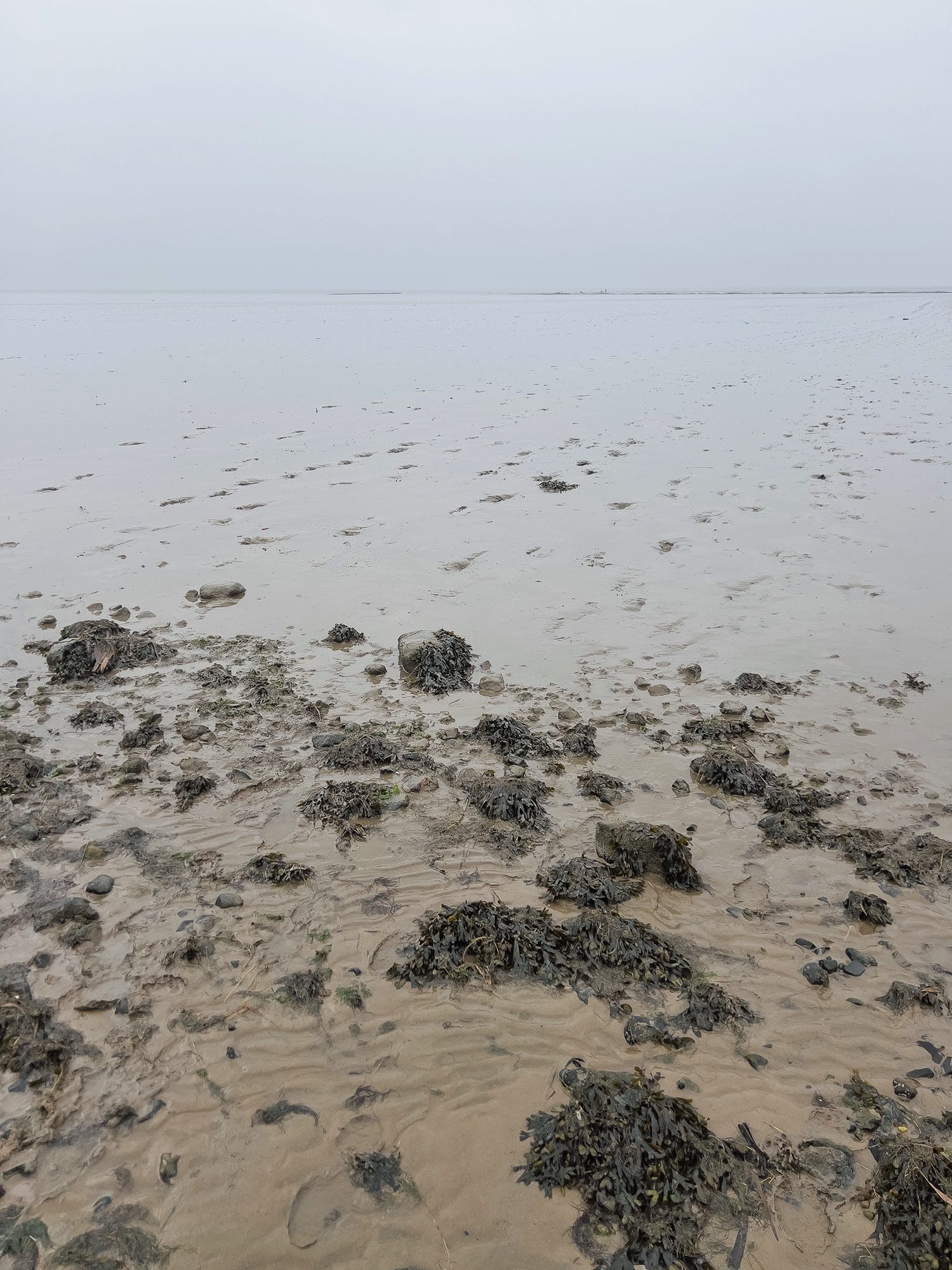 Denmark: Oyster Safari at the Wadden Sea