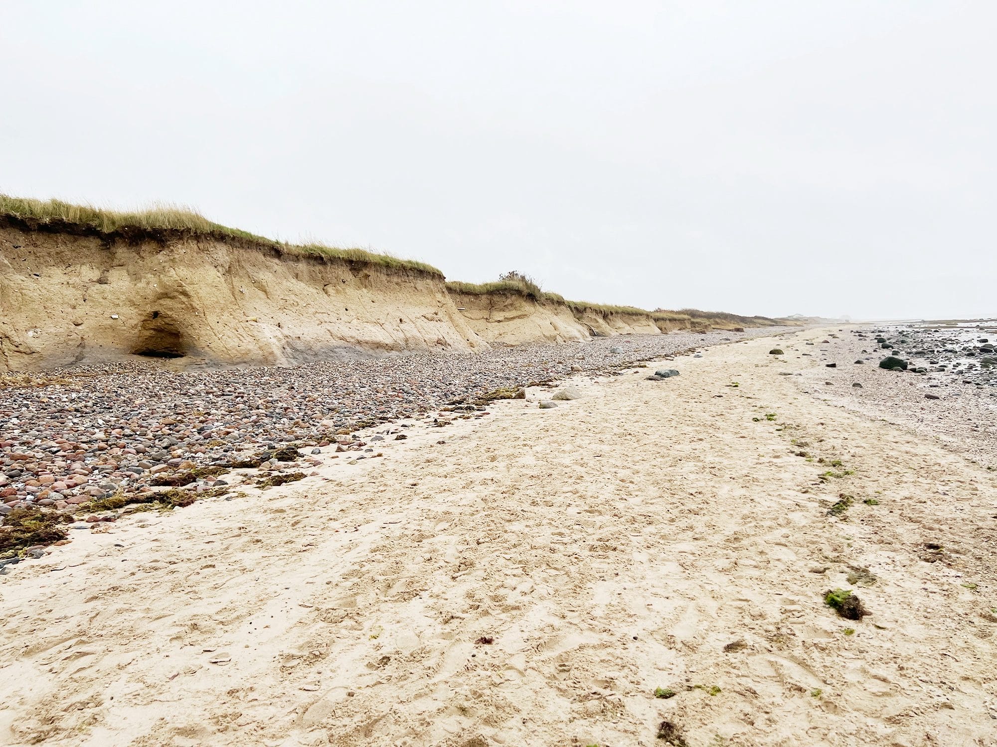 Denmark: Oyster Safari at the Wadden Sea