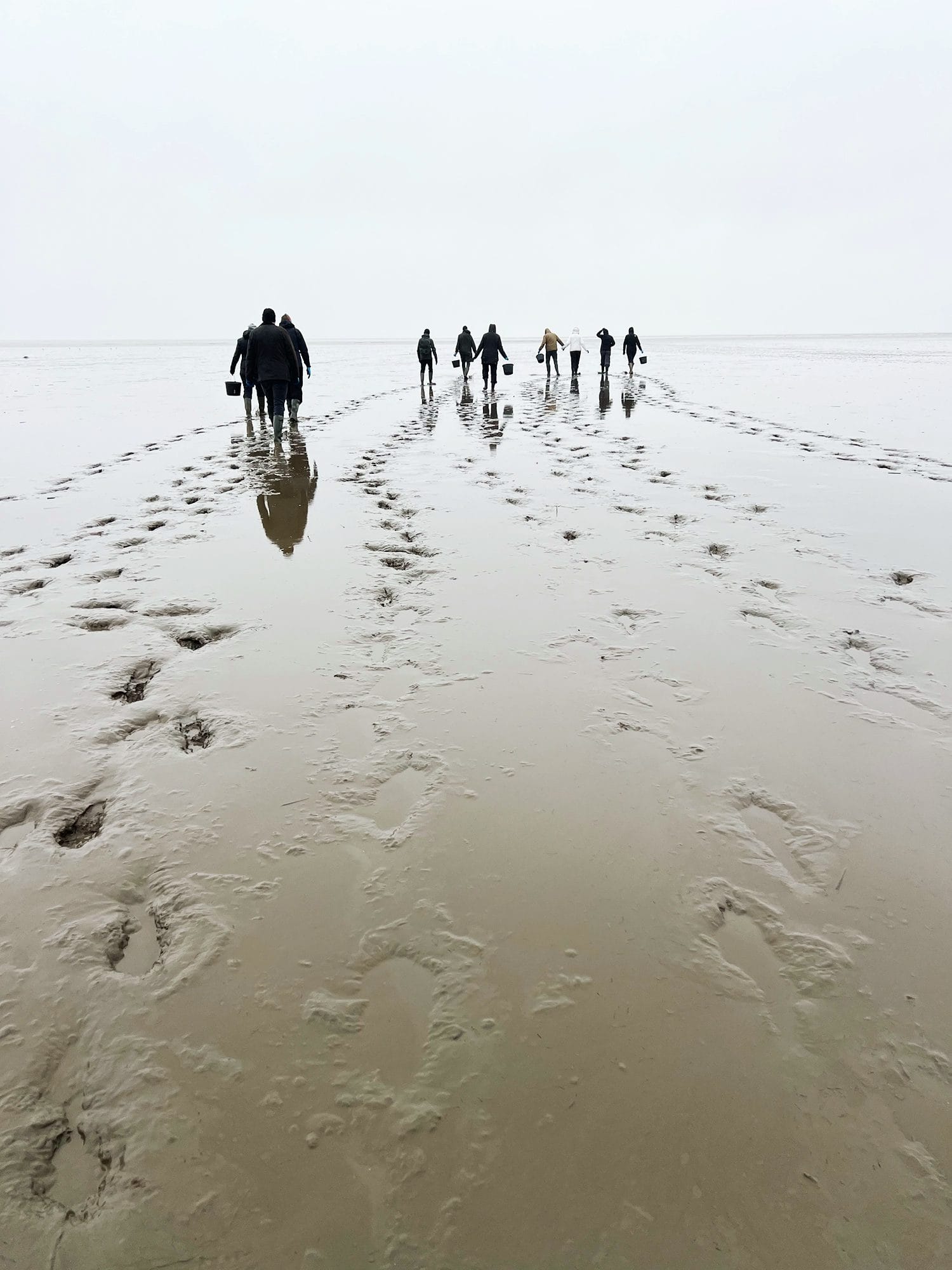 Denmark: Oyster Safari at the Wadden Sea