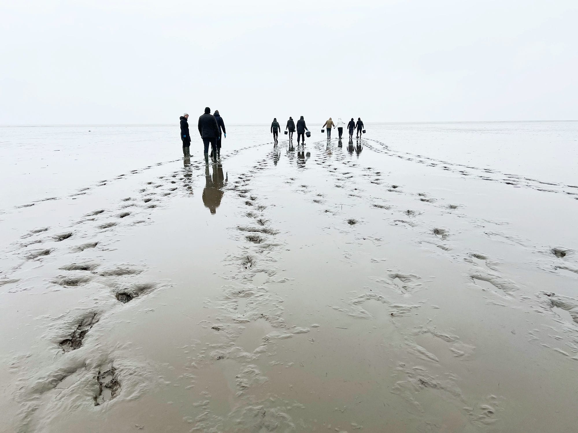 Denmark: Oyster Safari at the Wadden Sea