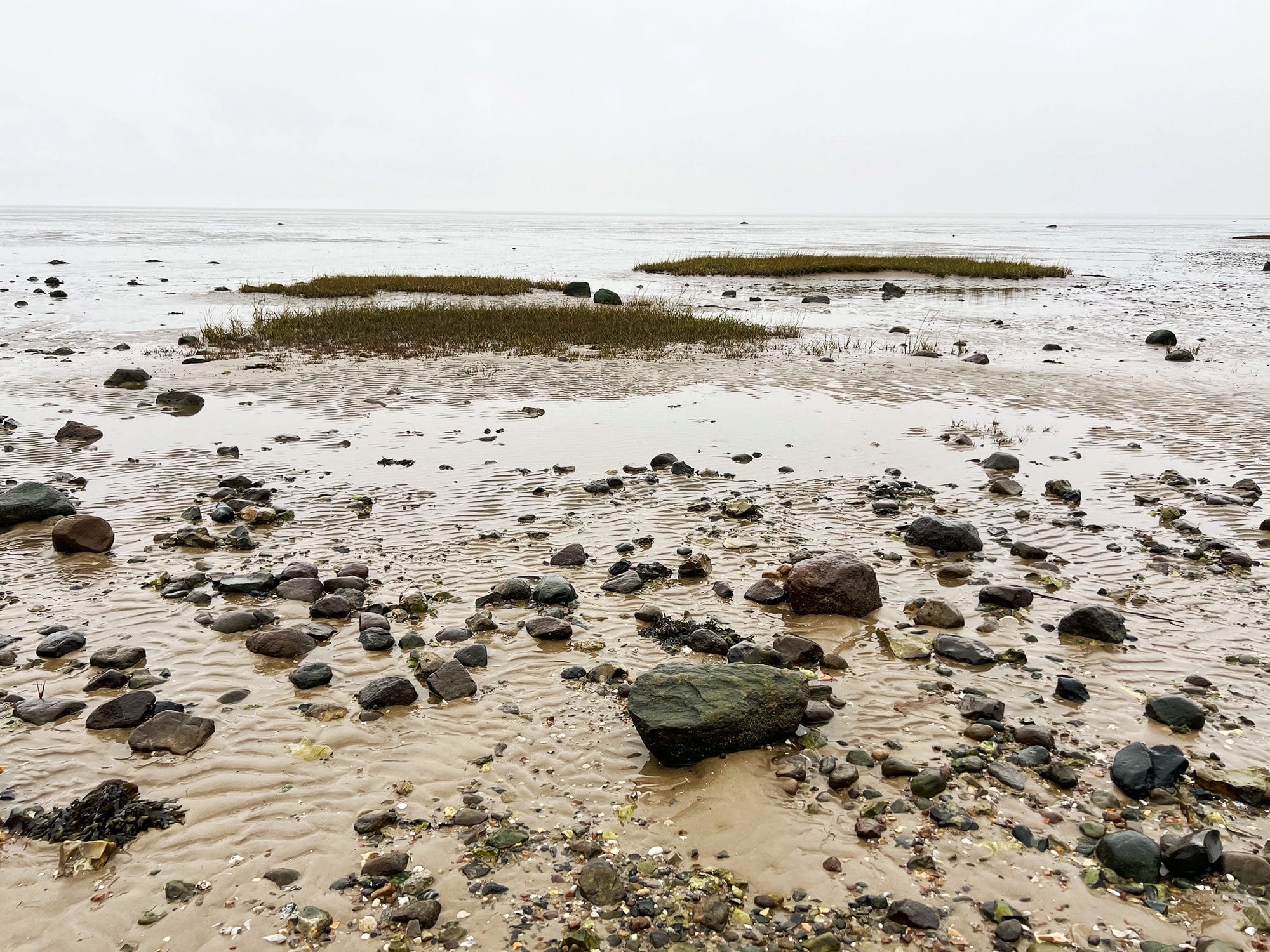 Denmark: Oyster Safari at the Wadden Sea